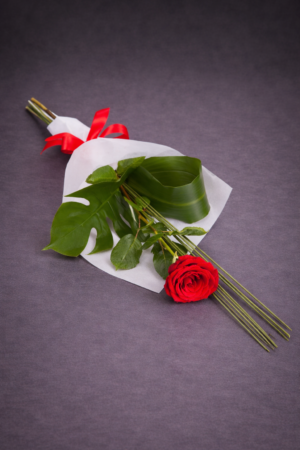 Elegant Red Rose with Green Accents –