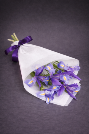 Purple Irises in Satin and Cellophane –