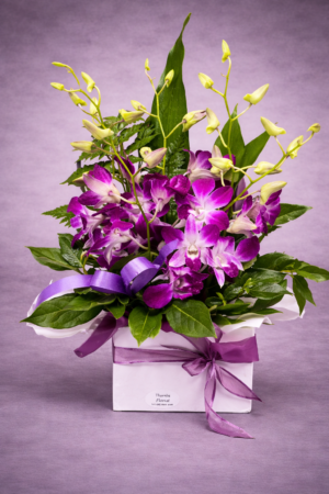 Purple Orchid Elegance in a Gift Box –