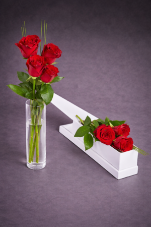 Elegant Red Rose Display –