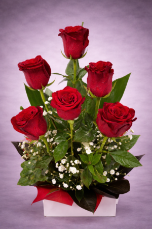 Red Roses with Dew Drops –