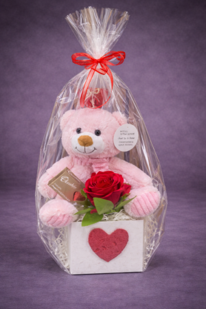 Soft Toy and Rose Gift Set –