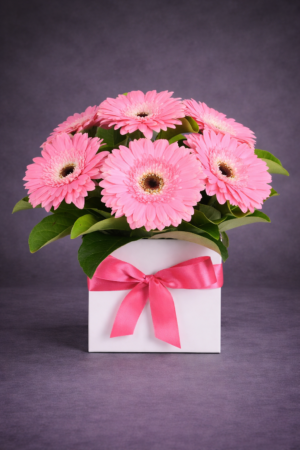 Vibrant Gerbera Daisies in a Gift Box –