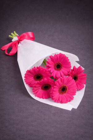 Vibrant Pink Gerbera Daisies Bouquet –